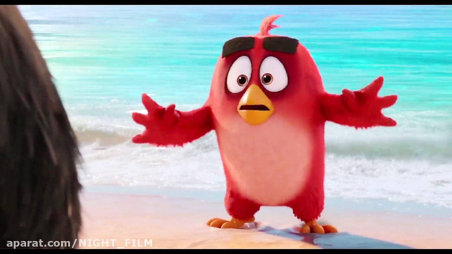 انیمیشن انگری بردز۲(پرندگان خشمگین۲) دوبله فارسی